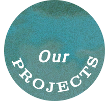 Our projects